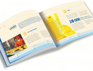 brochure inside spreads